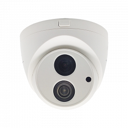 ST-171 M IP HOME (3.6) (версия 3)