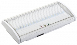 Светильник аварийный ДПА 5043-3 10-24/220В 3ч IP54 LIGHTING (LDPA1-5040-3-54-K01)