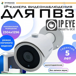 IPTRONIC IPT-IP3BM(3,6) cloud IPEYE