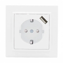 Минск Розетка 1-местная СП с/з 16А (ERR16-028-100-USB)