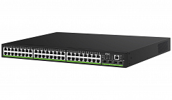 RVi-1NSM48G-4SP