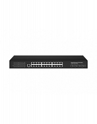 NS-SW-24G4G10-PL