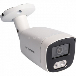 IPTRONIC IPT-IP3BM(3,6)A Ivideon