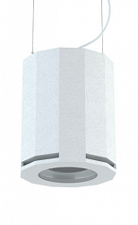 CVGAUDIO SUBone model DH-8W/CR/T - Профессиональный подвесной трансляционный сабвуфер, 8