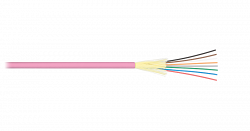 NKL-F-004M4I-00C-MG-F001