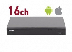 RK2216
