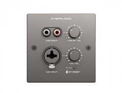 CVGAUDIO PW-IN/BL             - Настенная панель удаленного подключения, MIC IN - XLR, LINE IN - 2RCA, Bluetooth с внутренней антенной-стикером, управление громкостью, передача суммарного сигнала на р